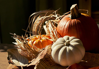 Image showing Thanksgiving Background with Pumpkins. Retro card