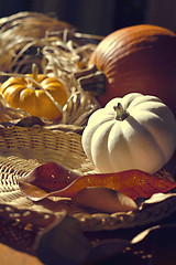 Image showing Thanksgiving Background with Pumpkins. Retro card