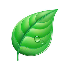 Image showing Green leaf