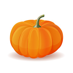 Image showing Pumpkin isolated on white.