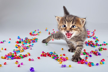 Image showing funny little kitten dancing in small metal jingle bells beads