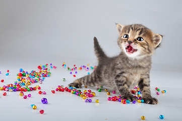 Image showing little kitten with small metal jingle bells beads