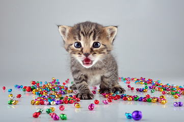 Image showing little kitten with small metal jingle bells beads