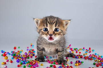 Image showing little surprised funny kitten with small metal jingle bells bead