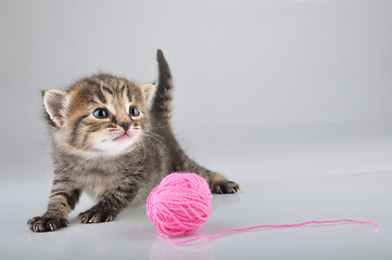 Image showing little kitten playing with a woolball