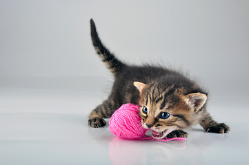 Image showing little kitten playing with a woolball