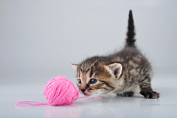 Image showing little kitten playing with a woolball