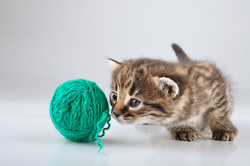 Image showing little kitten playing with a woolball