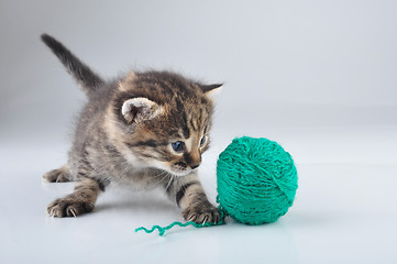 Image showing little kitten playing with a woolball