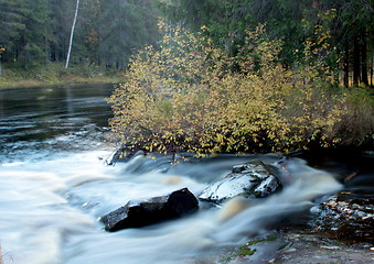 Image showing Vekarus North-Karelia