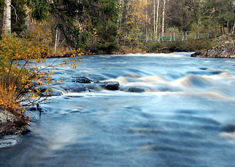 Image showing Vekarus North-Karelia