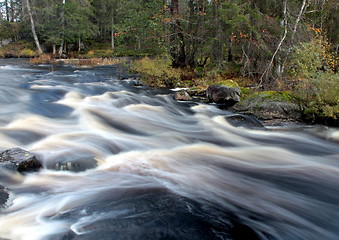 Image showing Vekarus North-Karelia