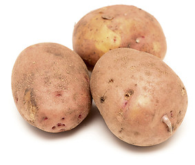 Image showing raw potato