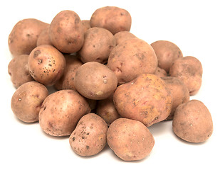 Image showing raw potatoes