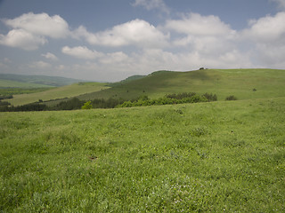 Image showing Green fields