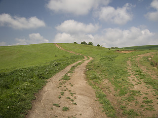 Image showing Green fields