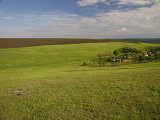 Image showing Green fields