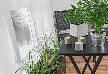 Image showing Green plants in a room, and winter landscape behind the window