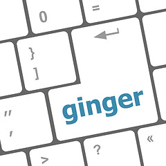 Image showing ginger word on keyboard key, notebook computer button