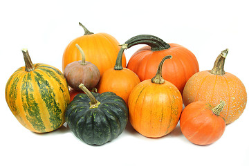 Image showing Pumpkins isolated