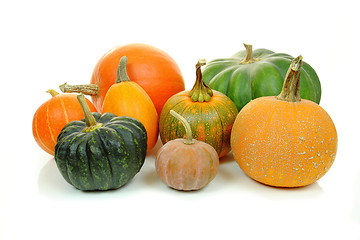 Image showing Pumpkins isolated
