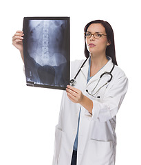 Image showing Mixed Race Female Doctor or Nurse Reviewing X-ray on White