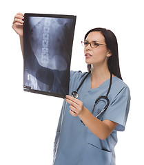 Image showing Mixed Race Female Doctor or Nurse Reviewing X-ray on White