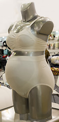 Image showing Bandage for the pregnant woman