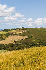 Image showing La Foce