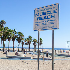 Image showing Muscle Beach