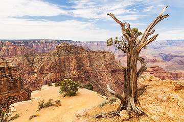 Image showing Grand Canyon