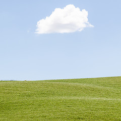 Image showing Green field in Tuscany