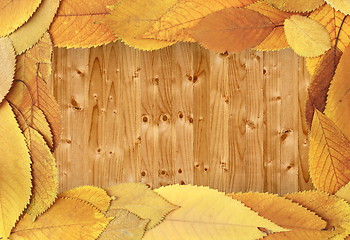 Image showing autumn backdrop with cherry leaves on table