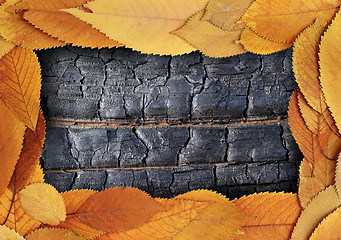 Image showing backdrop with gold leaves and burnt wood