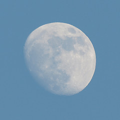 Image showing Full moon