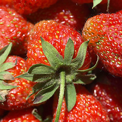 Image showing Strawberries