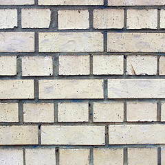 Image showing White bricks