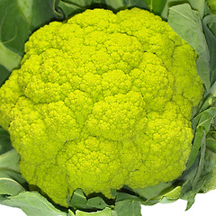 Image showing Cauliflower