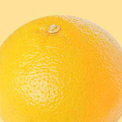 Image showing Grapefruit fruit