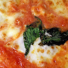 Image showing Pizza picture