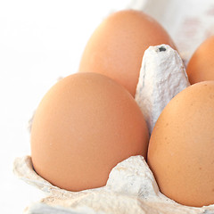 Image showing Eggs picture