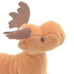 Image showing Christmas Deer