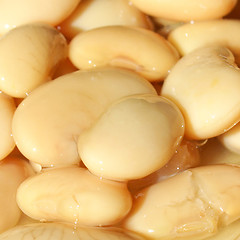 Image showing Beans salad