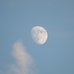 Image showing The moon