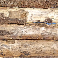 Image showing Wood picture