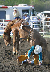 Image showing bareback rider