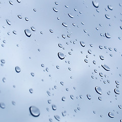 Image showing Rain droplets