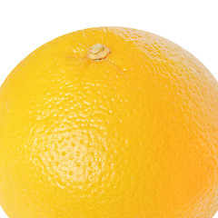 Image showing Grapefruit picture