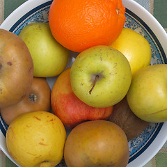 Image showing Fruits picture