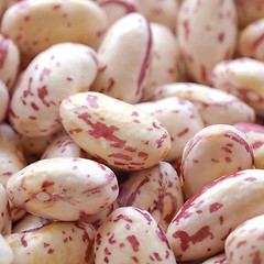 Image showing Beans salad